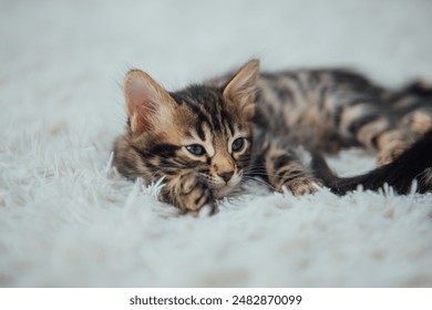 千亿体育官网登录通道的合规性分析与风险防控要点