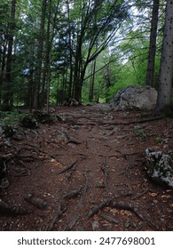博彩评级大全：汇聚全球热门博彩网站的评分模型、用户口碑与风险提示的系统指南