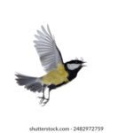 2025157期开奖号码正式公布,快来看看你中奖了吗? 1yd5p874