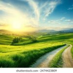 44552期最新开奖记录完整版查询 fc9u0j8w