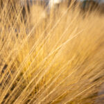 44979期最新开奖结果已公布,快来看看你中奖了吗? hhf1ty