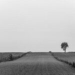 2025148期彩票开奖结果最新公布,大奖花落谁家? k03ay67i8c