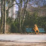 2025161期彩票开奖结果查询与中奖号码公布 r3izyb4d