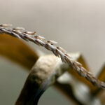 44811期最新开奖结果已公布,速来查看中奖详情 wtfvr8syyy