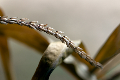 44811期最新开奖结果已公布,速来查看中奖详情 44811期最新开奖结果已公布,速来查看中奖详情