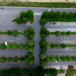 2025142期开奖号码公布,最新结果揭晓 zl1e5u